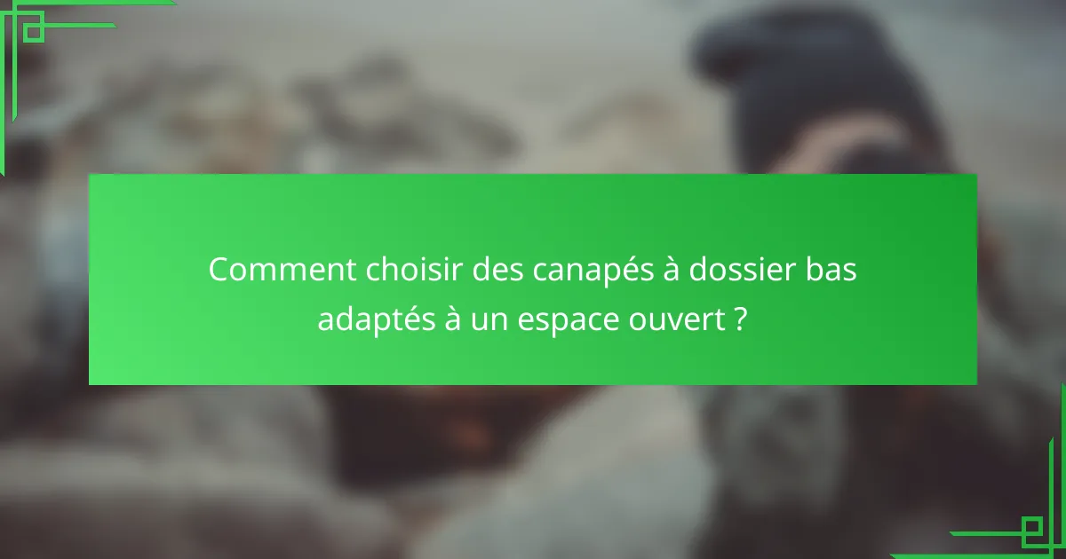 Comment choisir des canapés à dossier bas adaptés à un espace ouvert ?