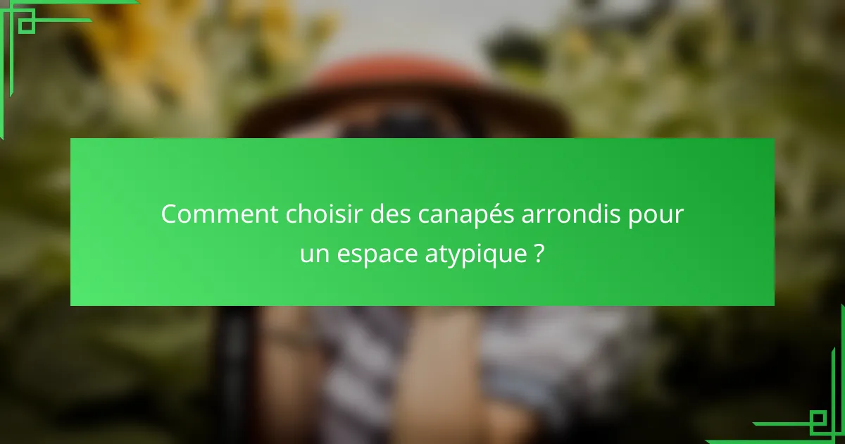 Comment choisir des canapés arrondis pour un espace atypique ?