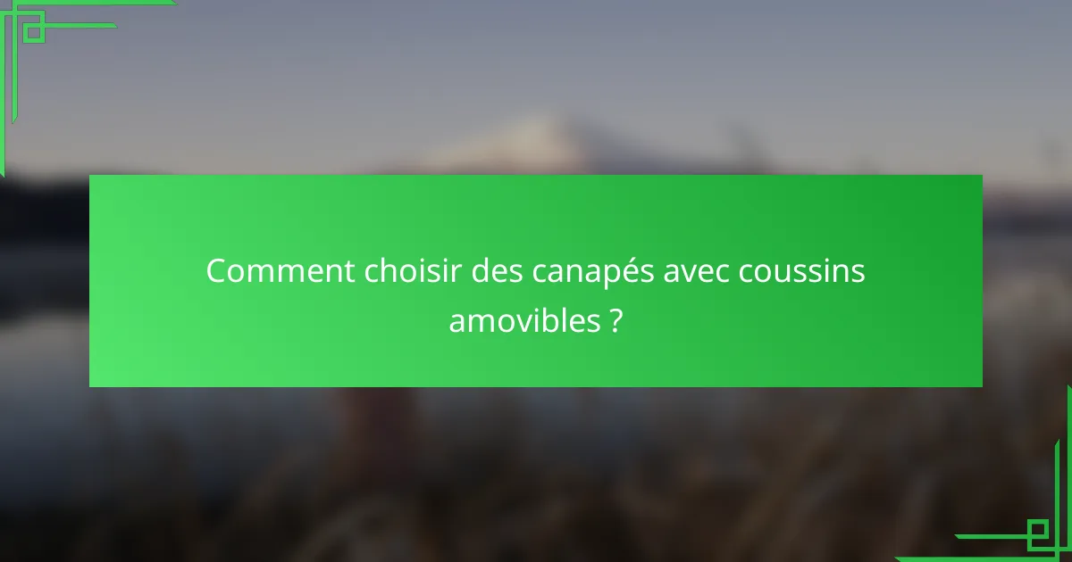 Comment choisir des canapés avec coussins amovibles ?
