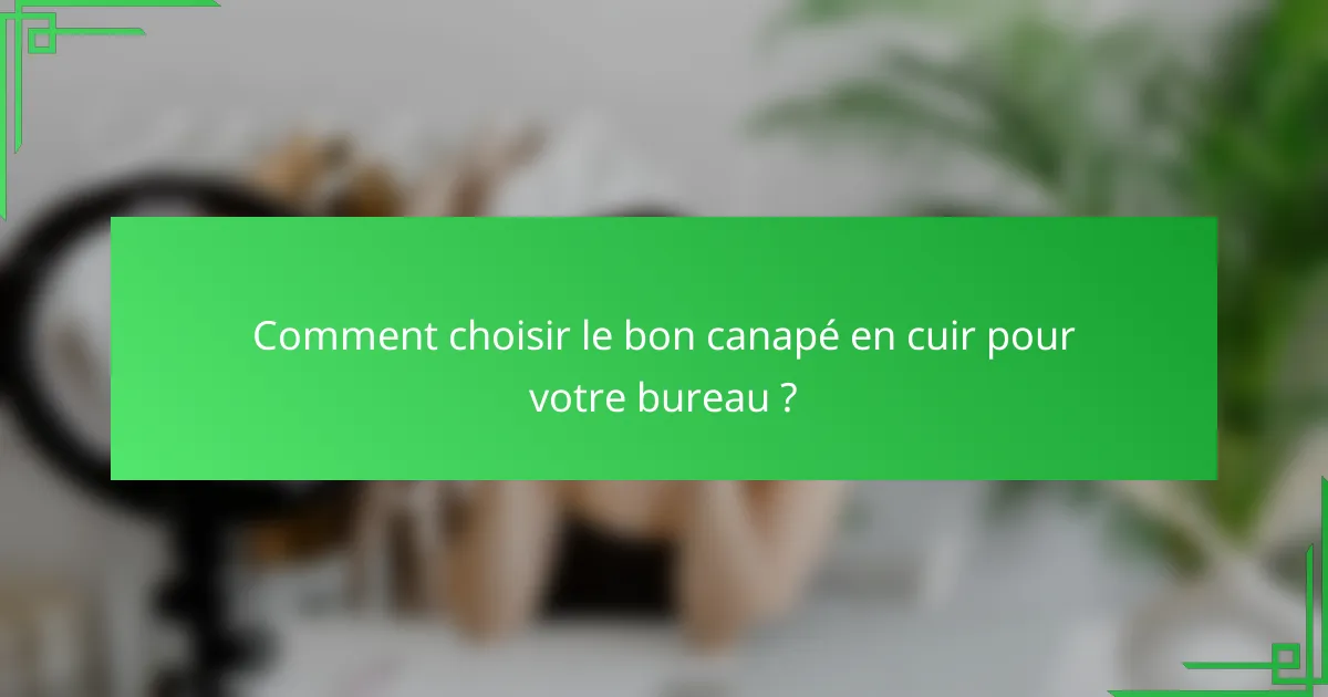 Comment choisir le bon canapé en cuir pour votre bureau ?
