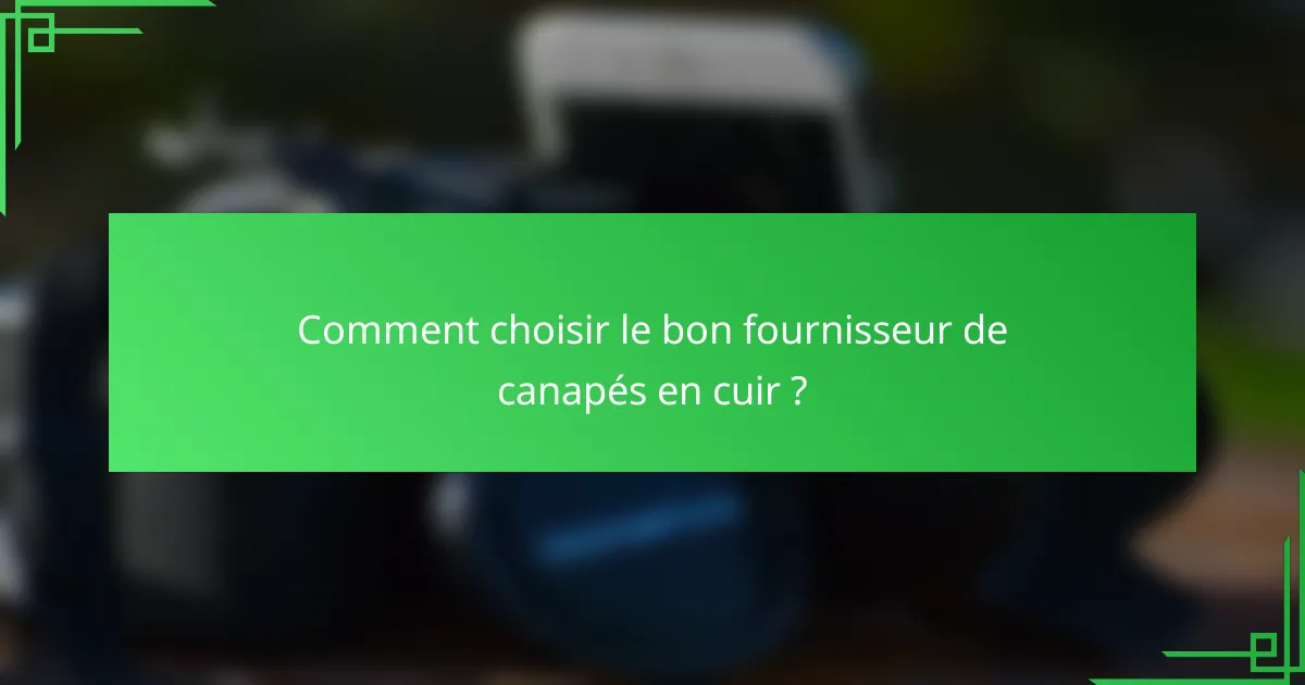 Comment choisir le bon fournisseur de canapés en cuir ?