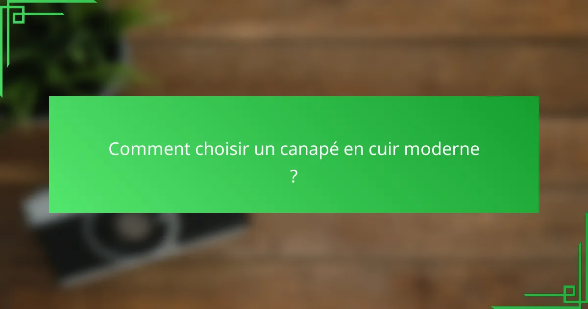 Comment choisir un canapé en cuir moderne ?