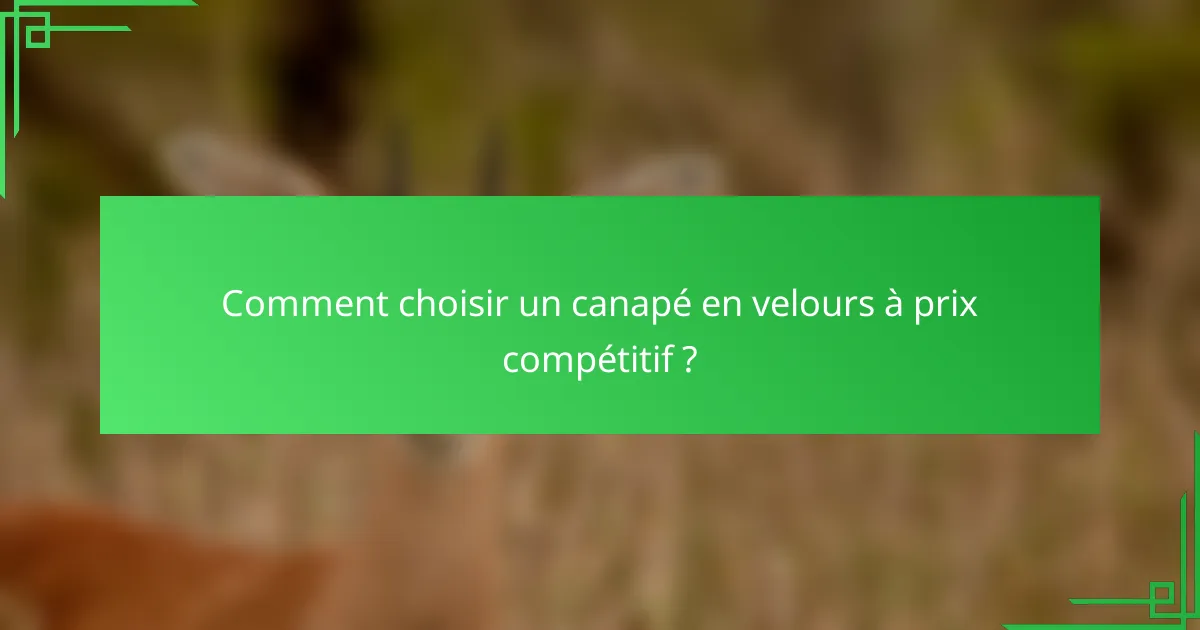 Comment choisir un canapé en velours à prix compétitif ?