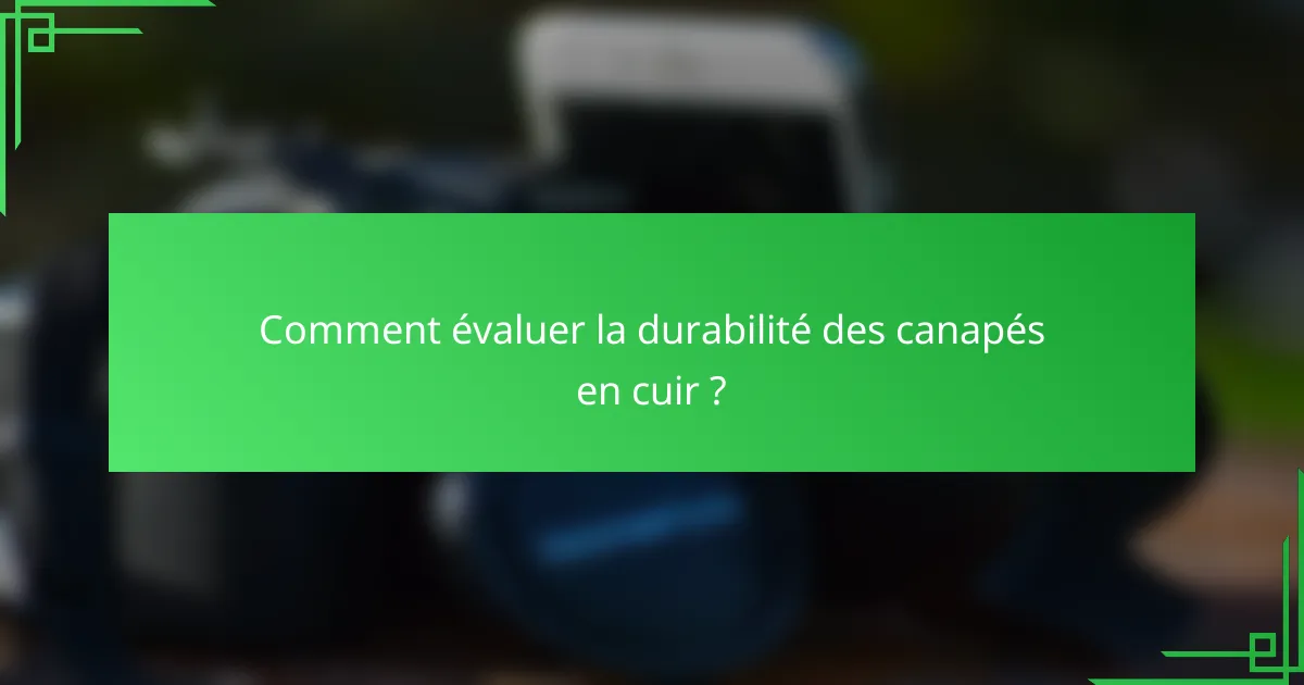 Comment évaluer la durabilité des canapés en cuir ?