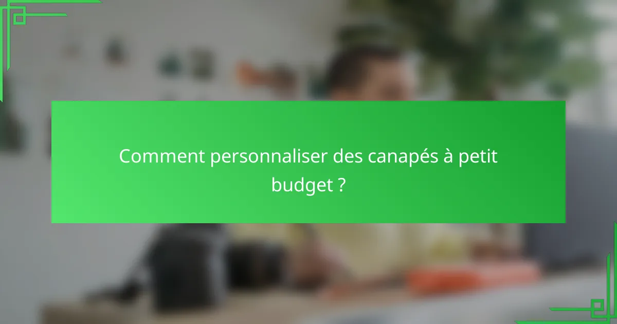 Comment personnaliser des canapés à petit budget ?