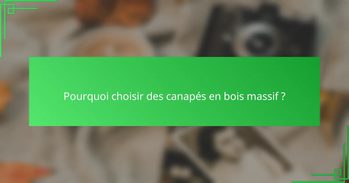 Pourquoi choisir des canapés en bois massif ?