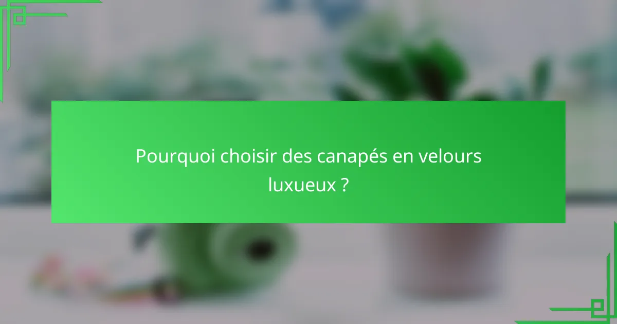 Pourquoi choisir des canapés en velours luxueux ?
