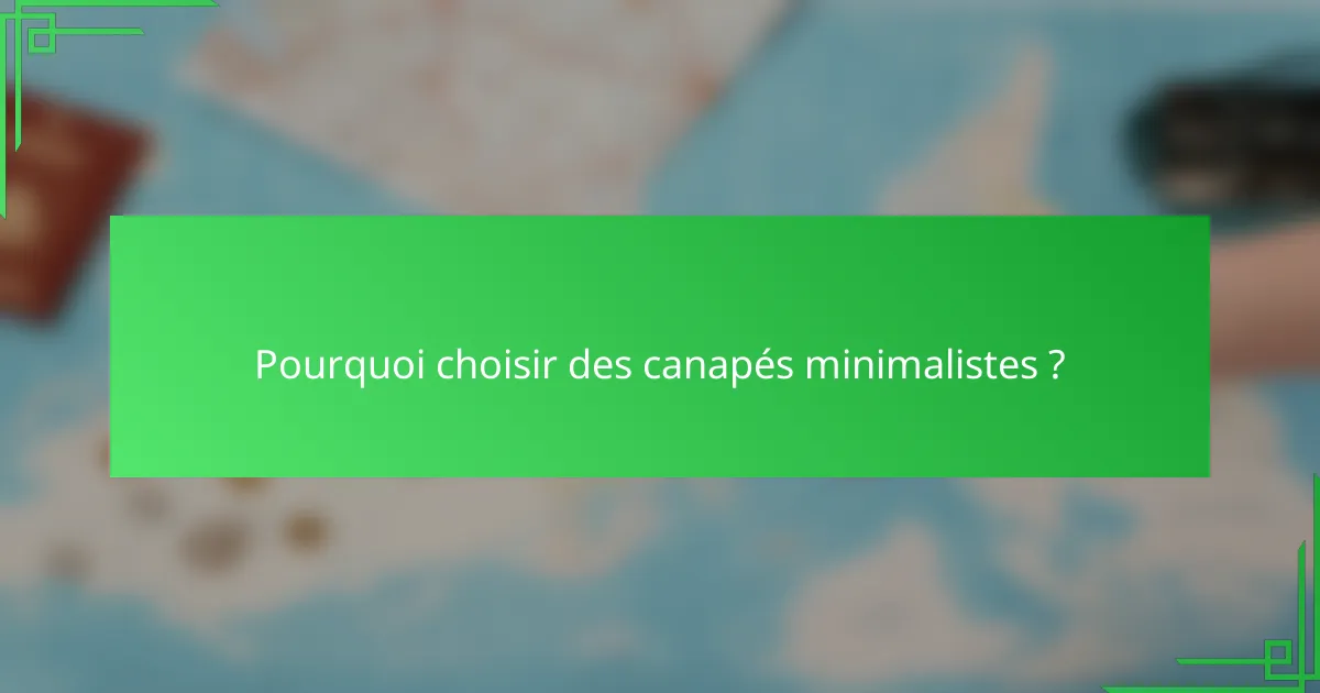 Pourquoi choisir des canapés minimalistes ?
