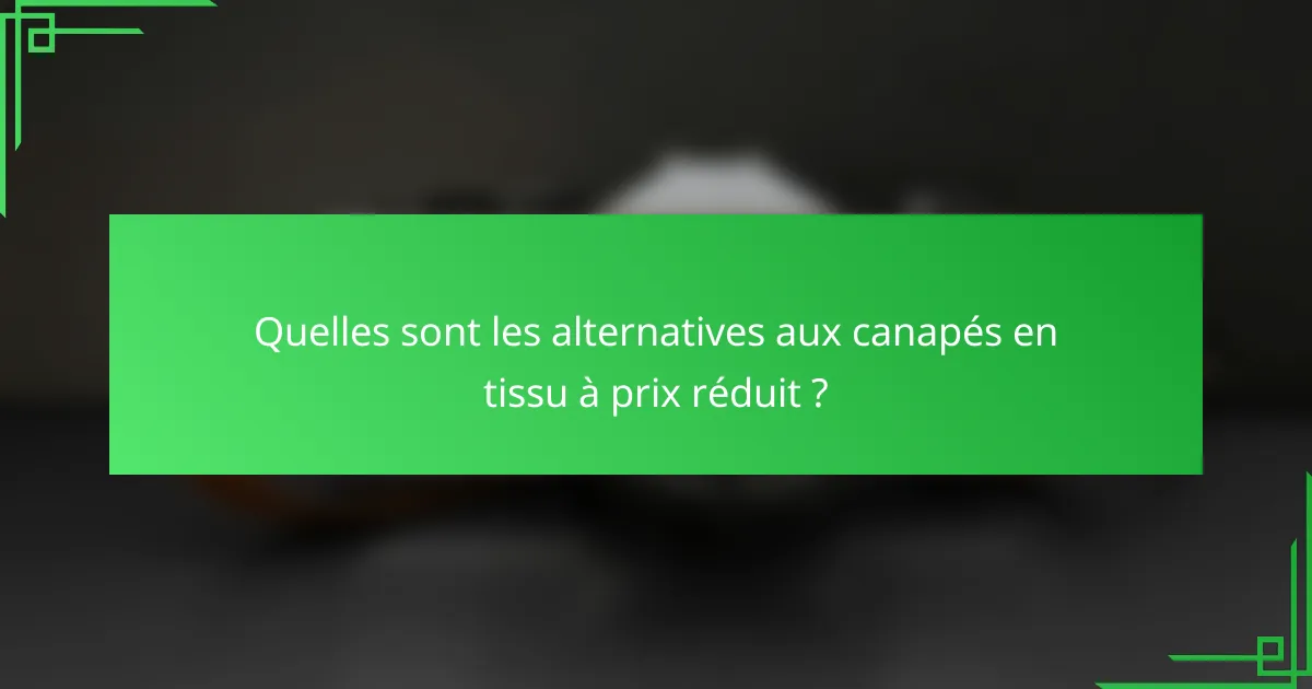 Quelles sont les alternatives aux canapés en tissu à prix réduit ?