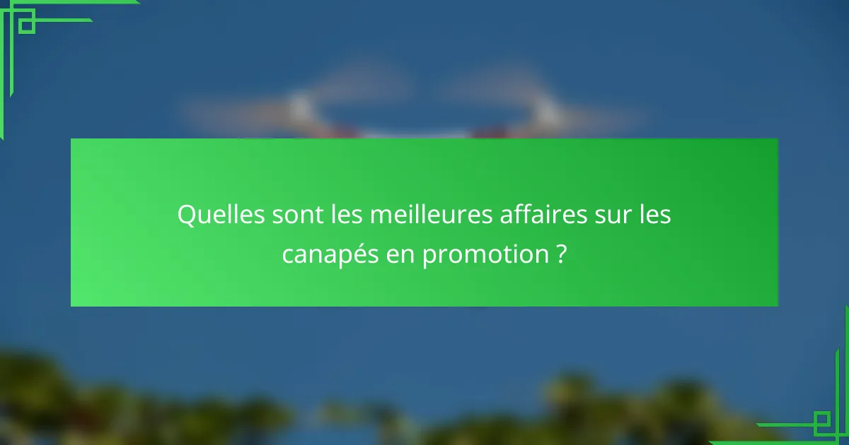 Quelles sont les meilleures affaires sur les canapés en promotion ?