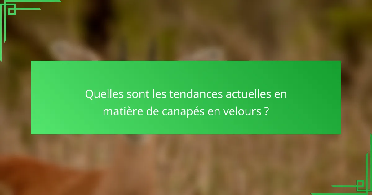 Quelles sont les tendances actuelles en matière de canapés en velours ?