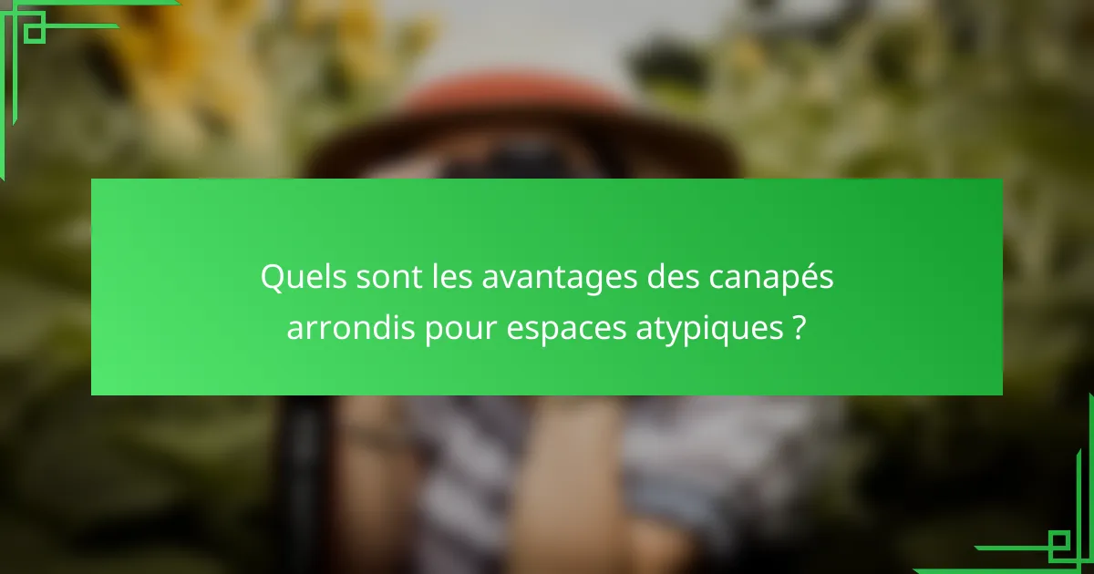 Quels sont les avantages des canapés arrondis pour espaces atypiques ?