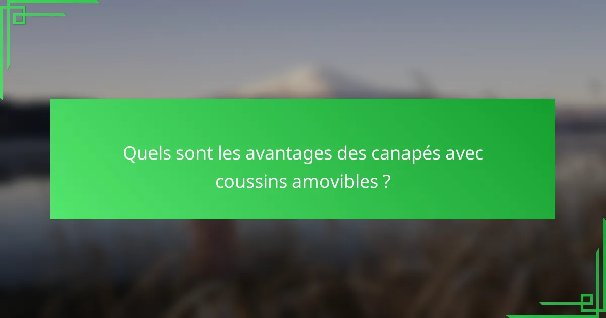 Quels sont les avantages des canapés avec coussins amovibles ?