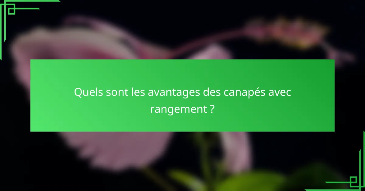 Quels sont les avantages des canapés avec rangement ?