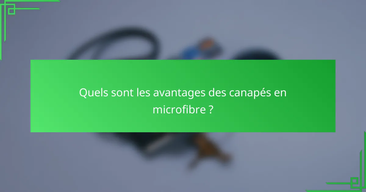 Quels sont les avantages des canapés en microfibre ?
