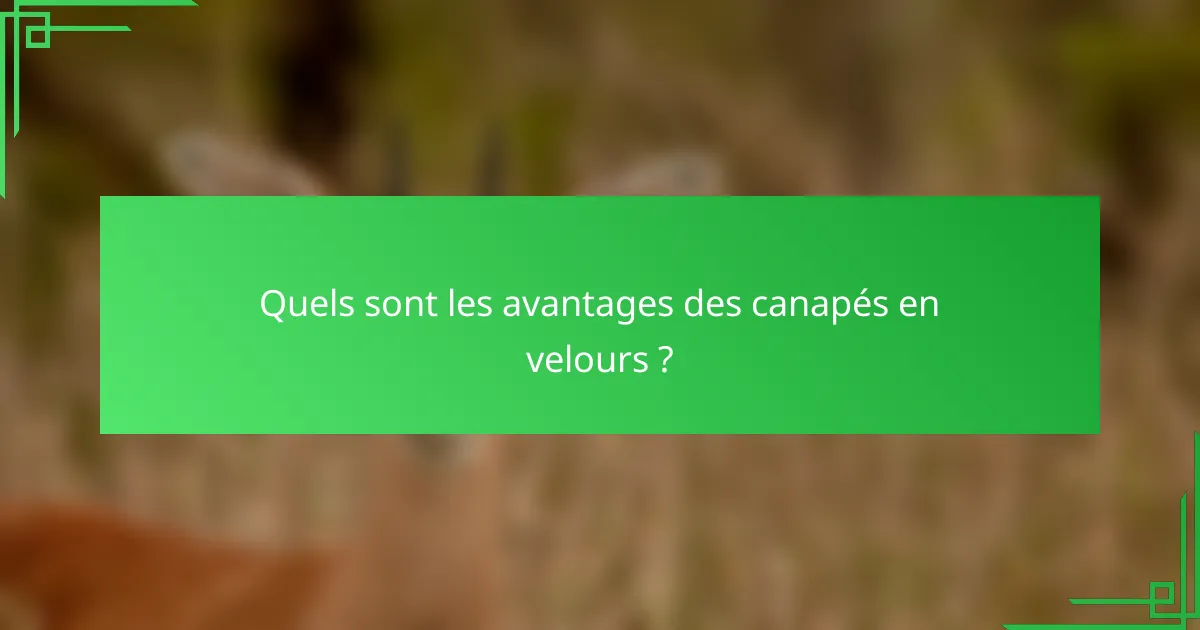 Quels sont les avantages des canapés en velours ?