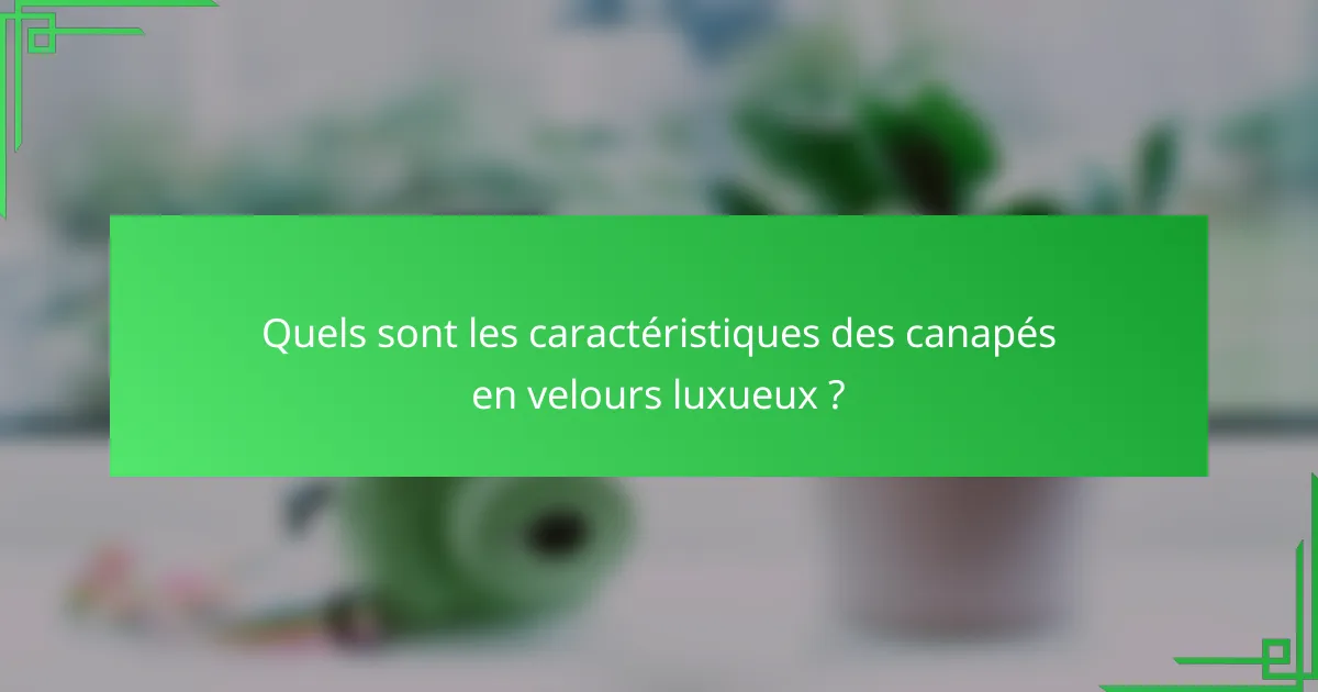 Quels sont les caractéristiques des canapés en velours luxueux ?