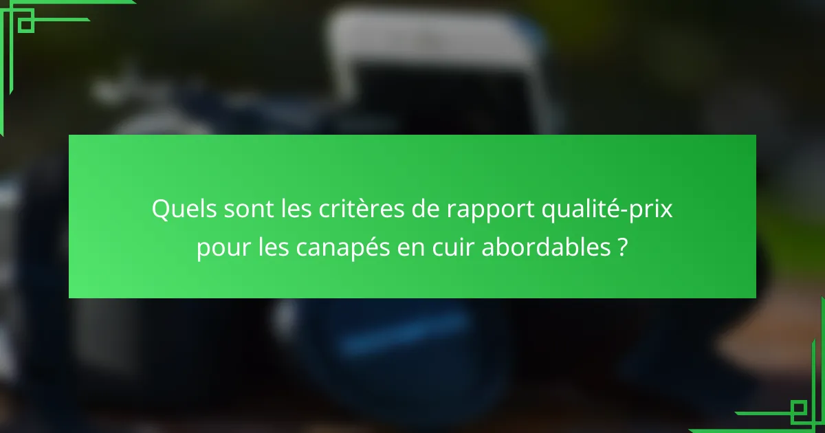 Quels sont les critères de rapport qualité-prix pour les canapés en cuir abordables ?
