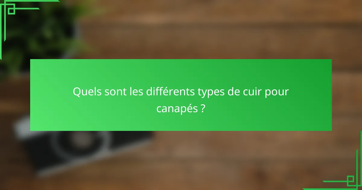 Quels sont les différents types de cuir pour canapés ?
