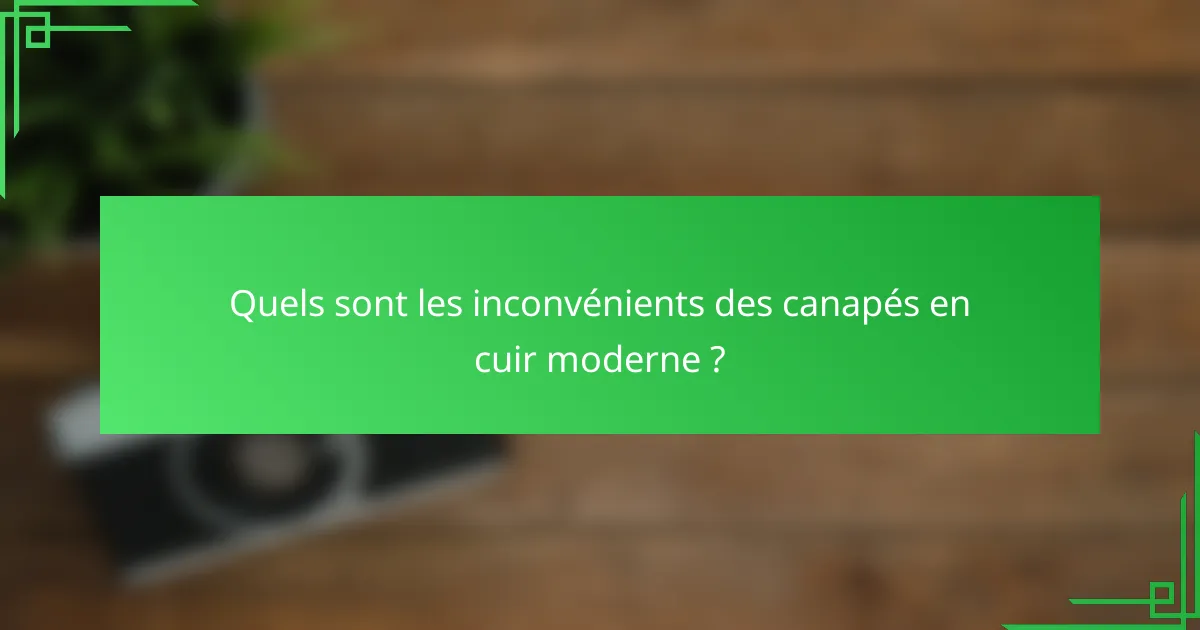 Quels sont les inconvénients des canapés en cuir moderne ?