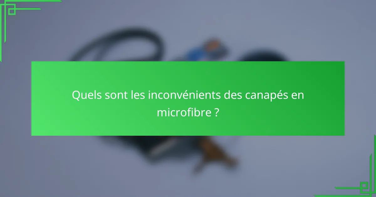 Quels sont les inconvénients des canapés en microfibre ?