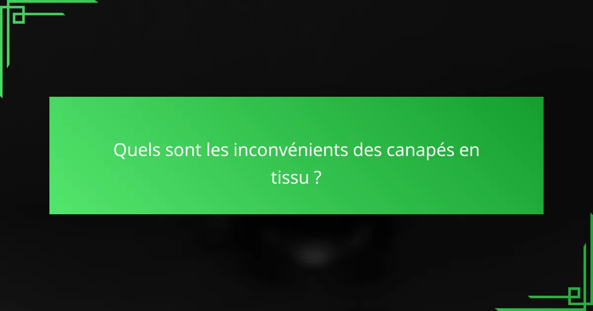 Quels sont les inconvénients des canapés en tissu ?