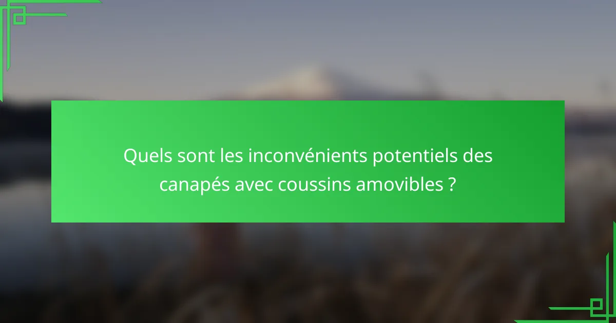 Quels sont les inconvénients potentiels des canapés avec coussins amovibles ?