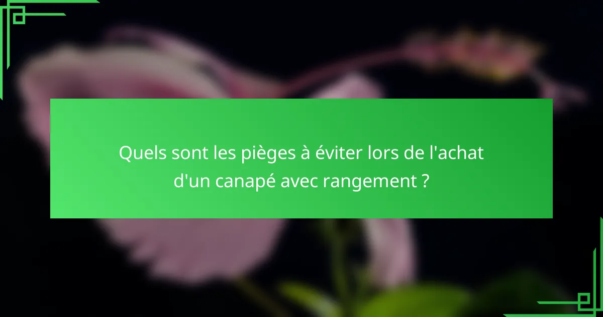 Quels sont les pièges à éviter lors de l'achat d'un canapé avec rangement ?